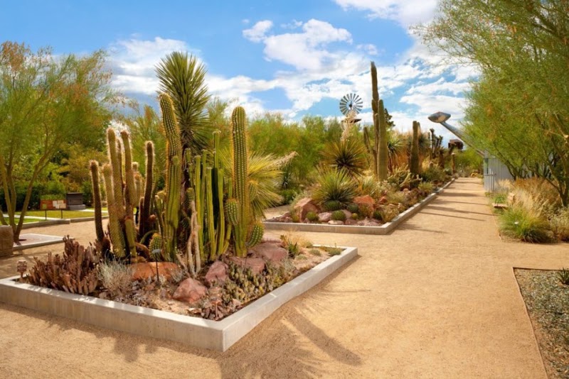 Botanical paths at Springs Preserve